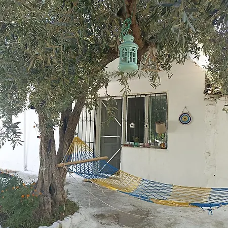Priene Сёке