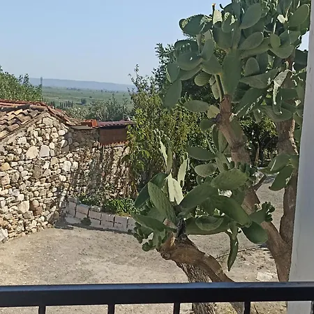 Priene Сёке