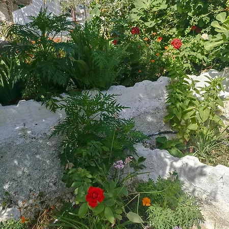 Priene Ferienhaus *