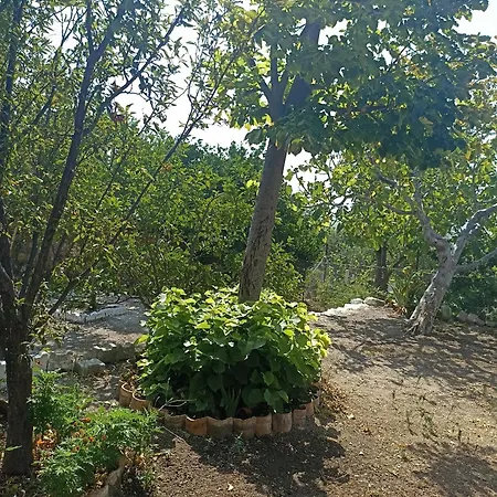 Ferienhaus Priene *