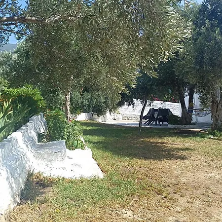 Priene Сёке