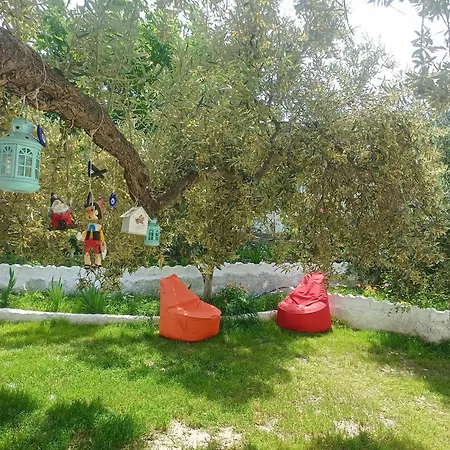 Priene Сёке