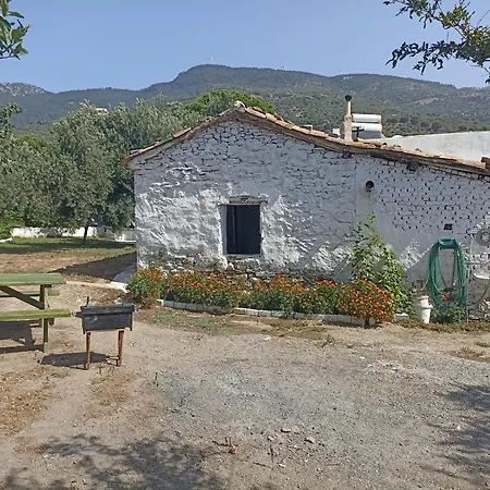 Priene Ferienhaus *